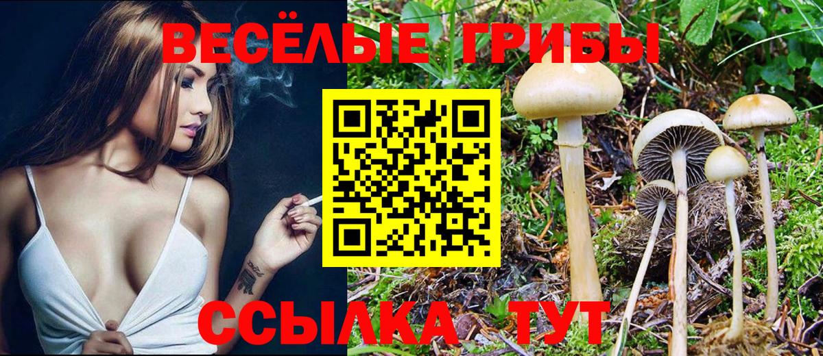 Галлюциногенные грибы Cubensis  где найти   Янаул  Вход с VPN 